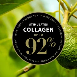 Antipodes Avocado Pear Nourishing Night Cream