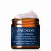 Antipodes Culture Probiotic Night Recovery Water Cream