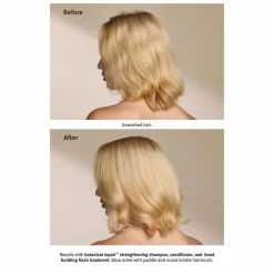 Aveda Botanical Repair Bond-Building Flash Treatment