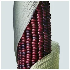 Aveda Botanical Repair Intensive Strengthening Masque Rich