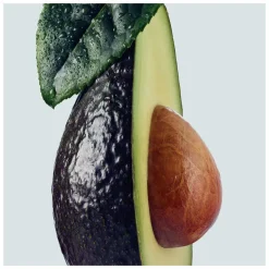 Aveda Botanical Repair Strengthening Conditioner