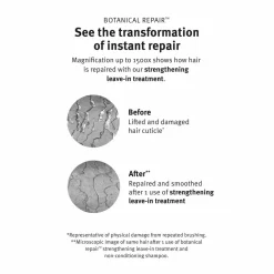 Aveda Botanical Repair Strengthening Leave-in Treatment