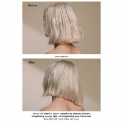 Aveda Botanical Repair Strengthening Leave-in Treatment