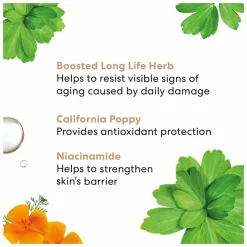 bareMinerals SkinLongevity Long Life Herb Serum