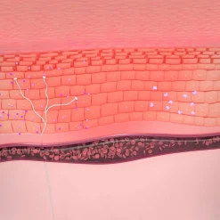 Bioderma Sensibio AR - Anti Redness Cream