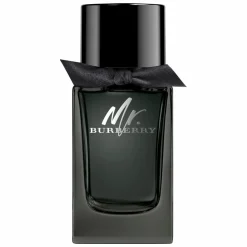 BURBERRY Mr BURBERRY Eau de Parfum Spray
