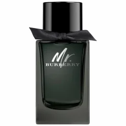 BURBERRY Mr BURBERRY Eau de Parfum Spray
