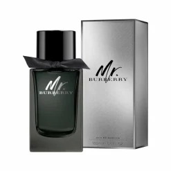 BURBERRY Mr BURBERRY Eau de Parfum Spray
