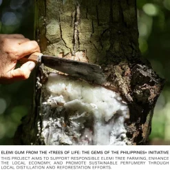 BVLGARI Man In Black Parfum Spray