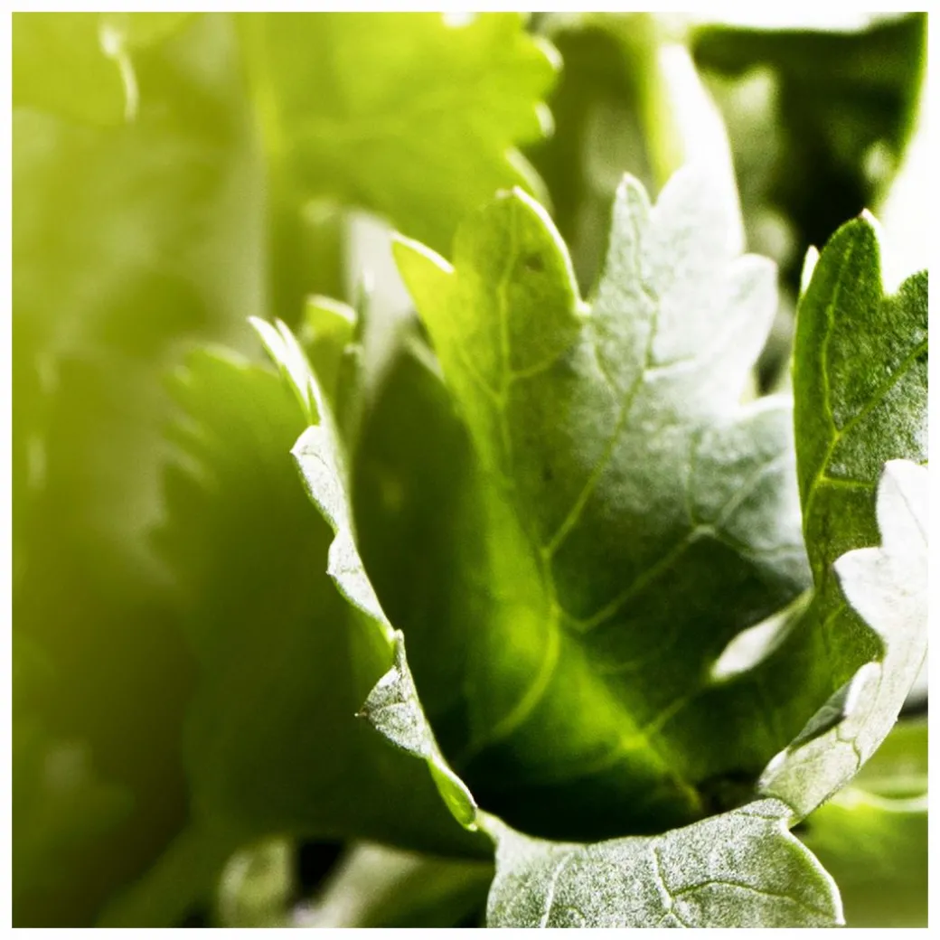 BVLGARI Man Wood Essence Eau de Parfum Spray 100ml Gift Set