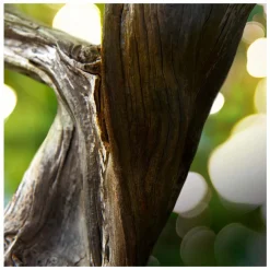 BVLGARI Man Wood Essence Eau de Parfum Spray 100ml Gift Set