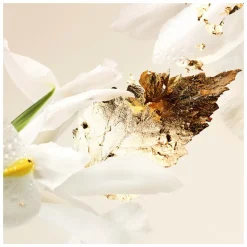 BVLGARI Splendida Patchouli Tentation Eau de Parfum Spray