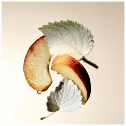 BVLGARI Splendida Patchouli Tentation Eau de Parfum Spray