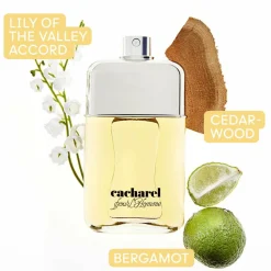 Cacharel Pour Homme Eau de Toilette Spray