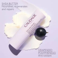 Caudalie Lip Conditioner Duo
