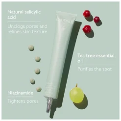 Caudalie Vinopure Salicylic Spot Solution