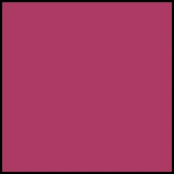 Clarins Instant Light Natural Lip Perfector