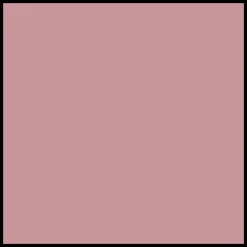 Clarins Instant Light Natural Lip Perfector