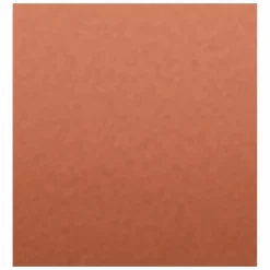 Clarins Joli Rouge Nudes Lipstick Refill