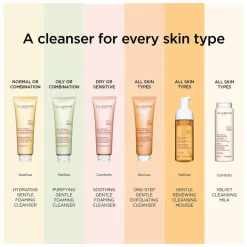 Clarins Purifying Gentle Foaming Cleanser