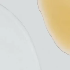 Dermalogica Age Smart Phyto-Nature Firming Serum