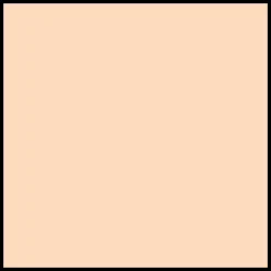 DIOR Diorskin Forever Undercover Full Coverage Fluid Foundation