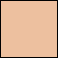 DIOR Diorskin Forever Undercover Full Coverage Fluid Foundation