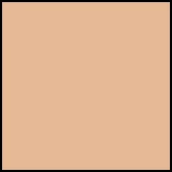 DIOR Forever Glow Star Filter