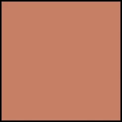 DIOR Forever Natural Bronze Glow