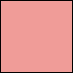 DIOR Forever Rouge Blush