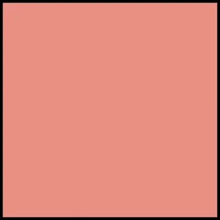 DIOR Forever Rouge Blush