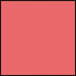 DIOR Forever Rouge Blush