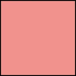 DIOR Forever Rouge Blush