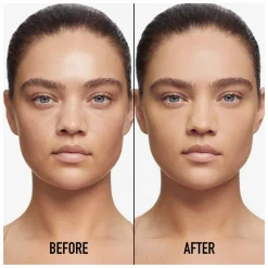 DIOR Forever Skin Perfect Foundation Stick