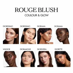 DIOR Rouge Blush Colour & Glow Multi-Use Face Palette