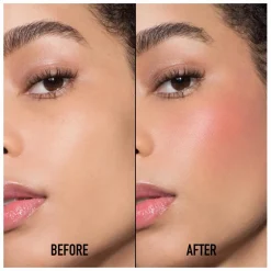 DIOR Rouge Blush Couture Colour