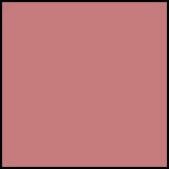 DIOR Rouge Dior Couture Colour Lipstick - Velvet Finish