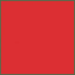 DIOR Rouge Dior Couture Colour Lipstick - Satin Finish