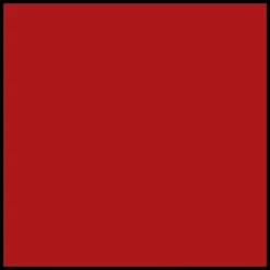 DIOR Rouge Dior Forever Lacquer Lipstick