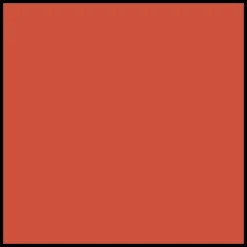 DIOR Rouge Dior Forever Lipstick