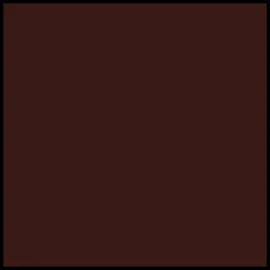 DIOR Rouge Dior Forever Lipstick