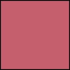 DIOR Rouge Dior Forever Lipstick