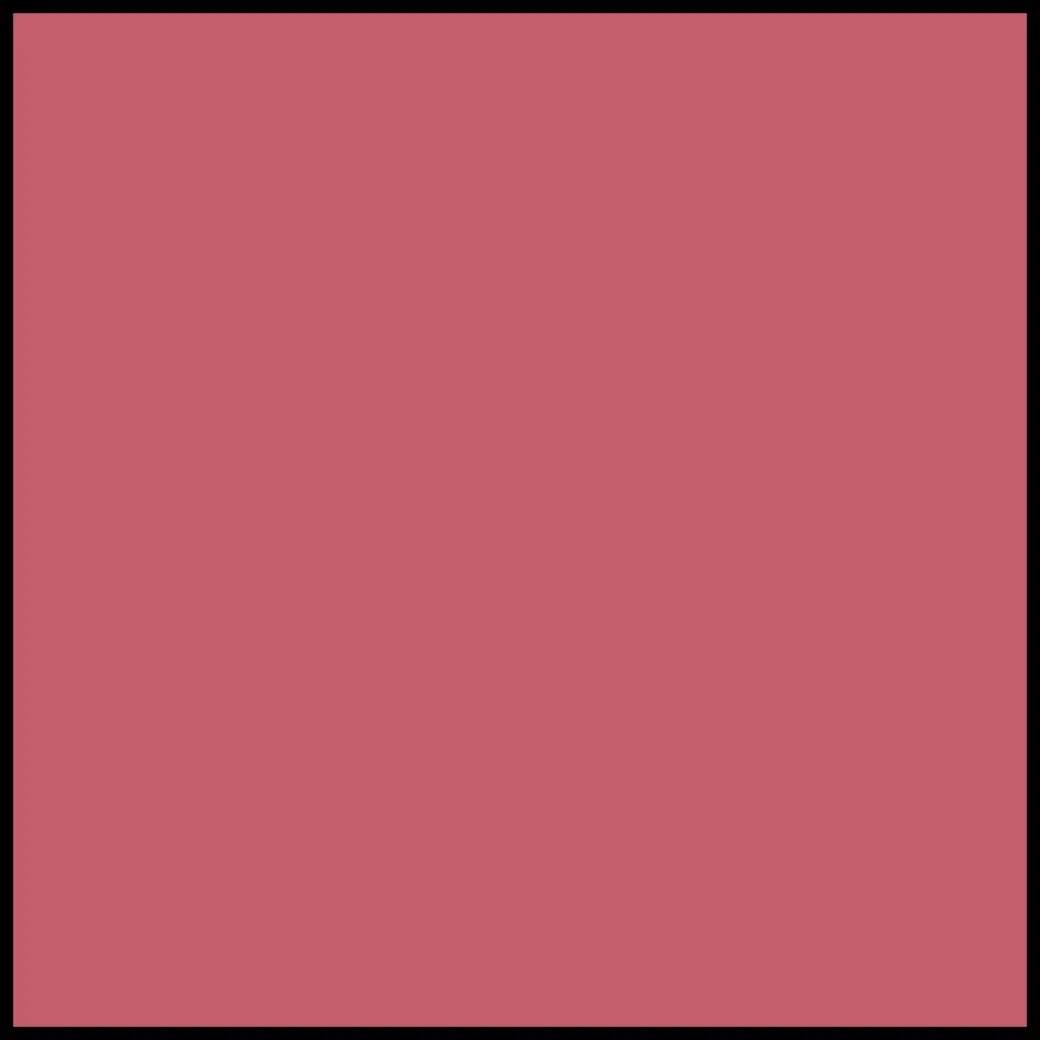 DIOR Rouge Dior Forever Lipstick