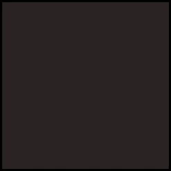 DIOR Rouge Dior Liquid Lip Stain