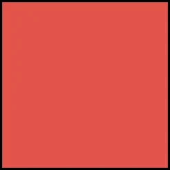 DIOR Rouge Dior Liquid Lip Stain