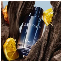 DIOR Sauvage Eau de Toilette Spray