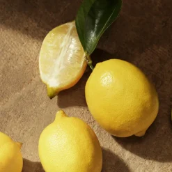 Dolce & Gabbana Devotion Pour Homme Eau de Parfum Spray