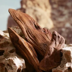 Dolce & Gabbana K by Dolce&Gabbana Parfum Spray