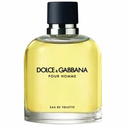 Dolce & Gabbana Pour Homme Eau de Toilette Spray