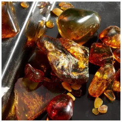 Dolce & Gabbana Q By Dolce&Gabbana Eau de Parfum Intense Spray